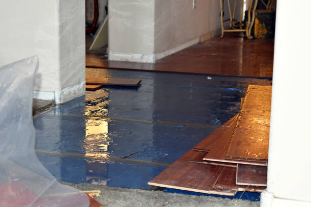 Professional Burst Pipe Cleanup technician working in Weston, NJ